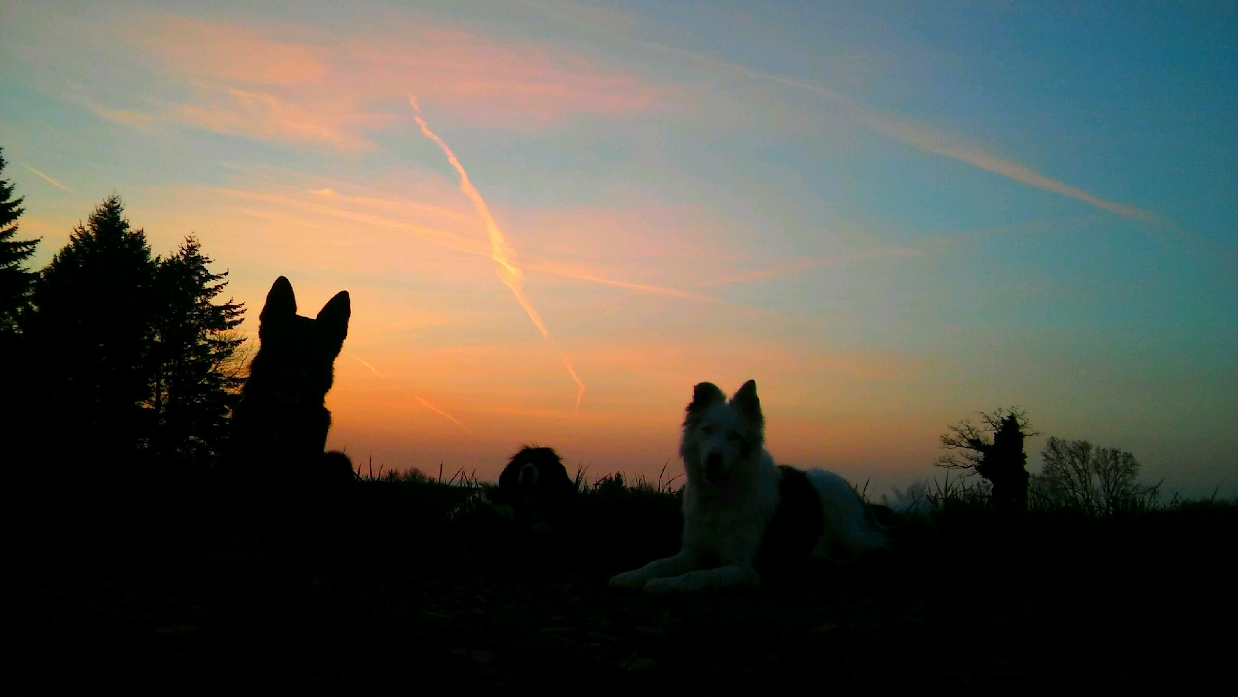 photo illustrant le soutien en fin de vie 