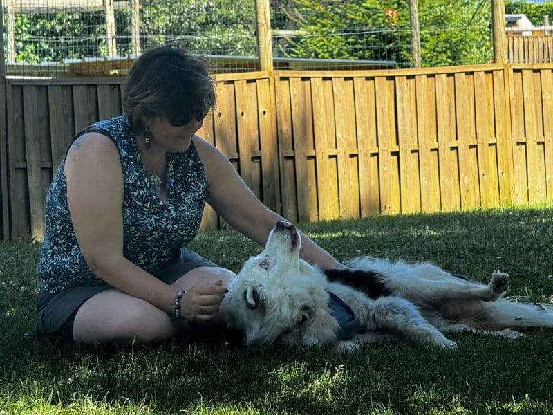 image montrant le lac de paladru