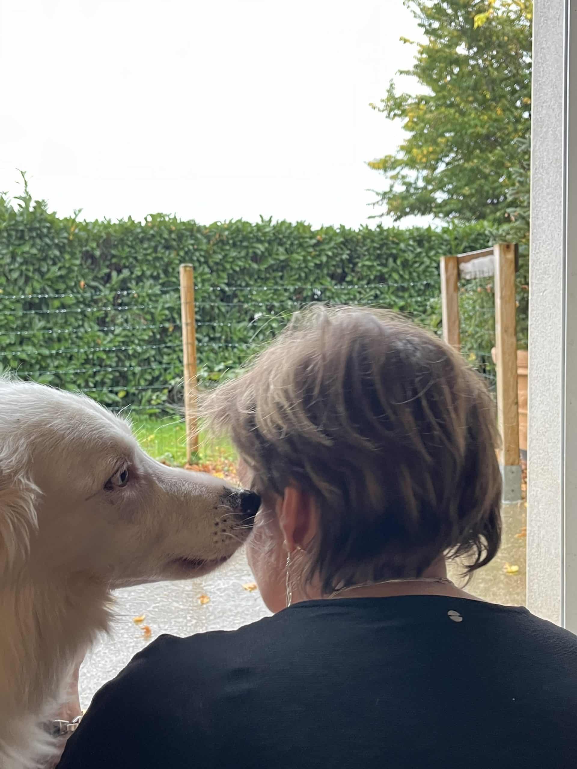 photo illustrant: Comment la communication animale aide au développement personnel par un chien qui touche l'oreille de son maitre avec son museau
